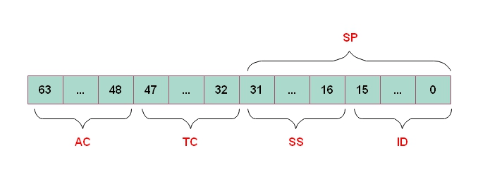 ctl